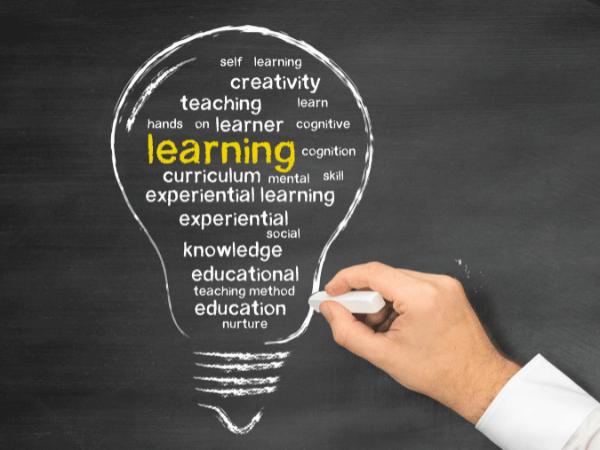 What is Experiential Learning and Why is it Important?