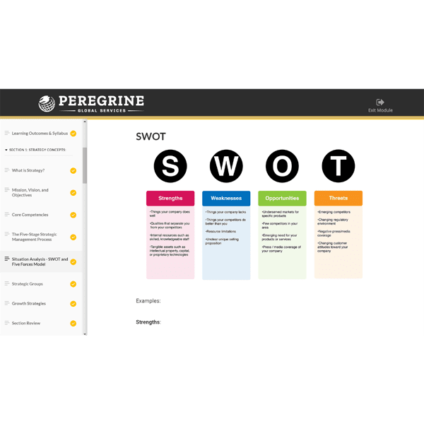 e-learning module view of swot content Peregrine Global Services