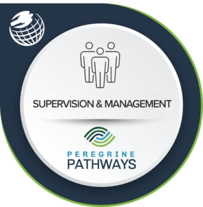 online supervisor training